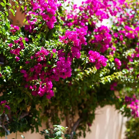 George Rooms&suites 3*