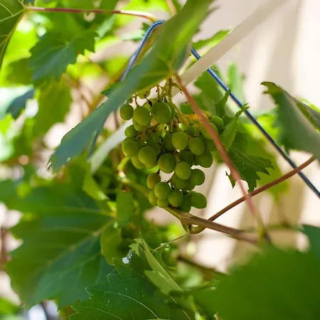 George Rooms&suites Hotel 3*