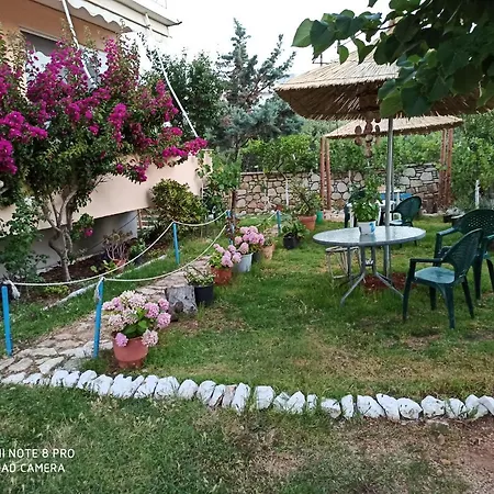 George Rooms&suites 3*