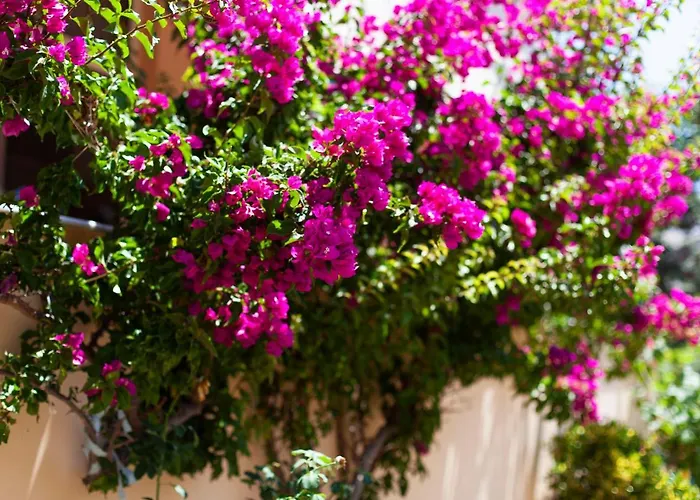 George Rooms&suites 3*