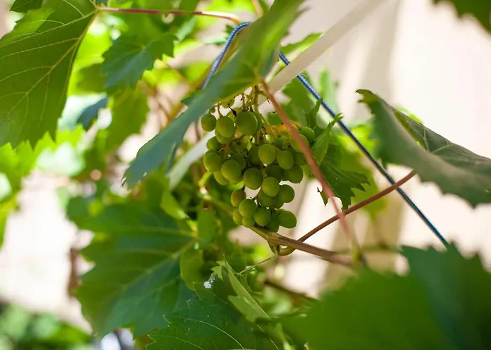 George Rooms&suites Hotel 3*